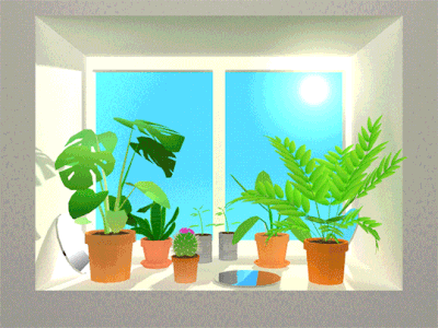 Gif of some house plants