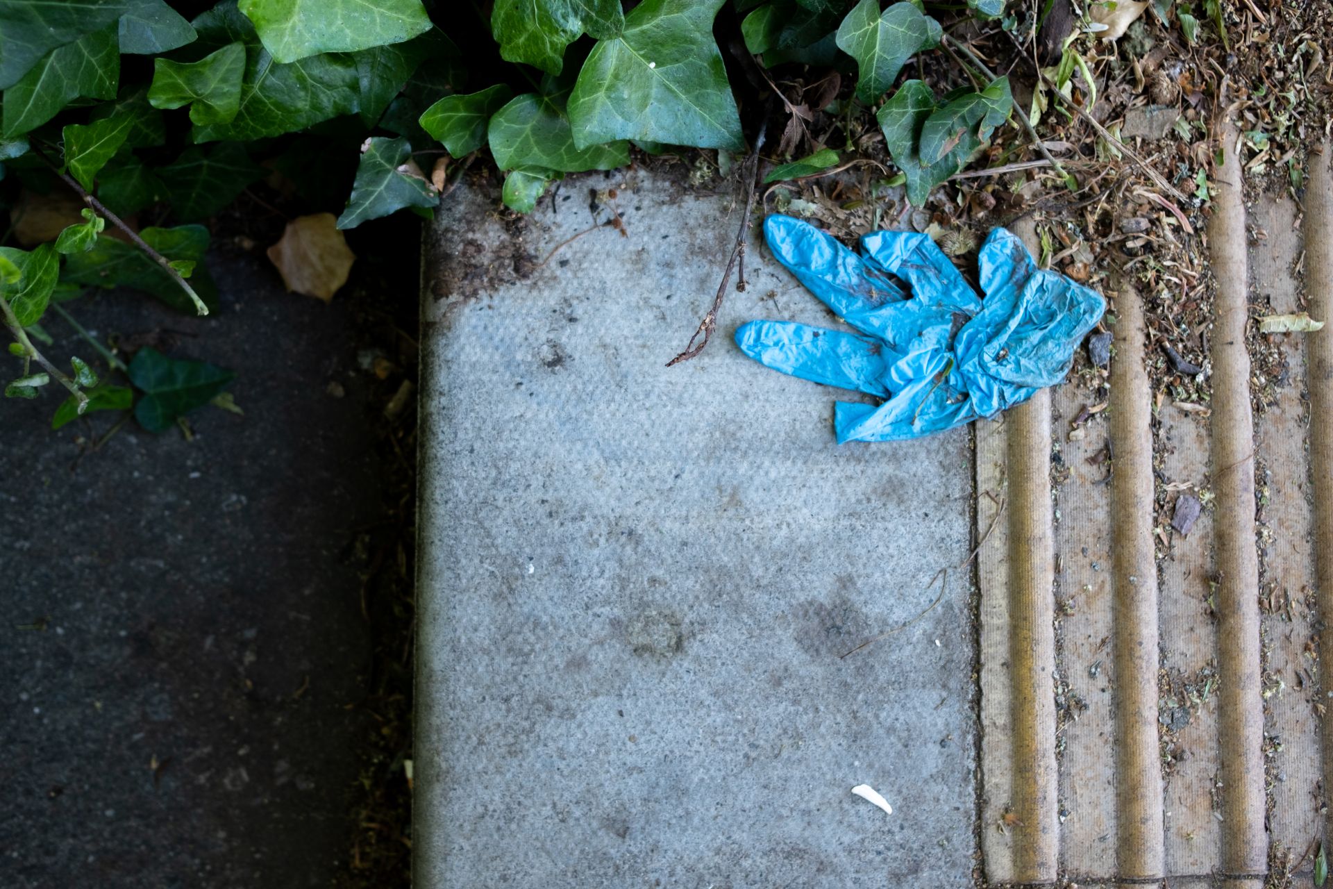 Exert from Jan Pavelka's book '2 metres apart' - picture shows a discarded blue rubber glove