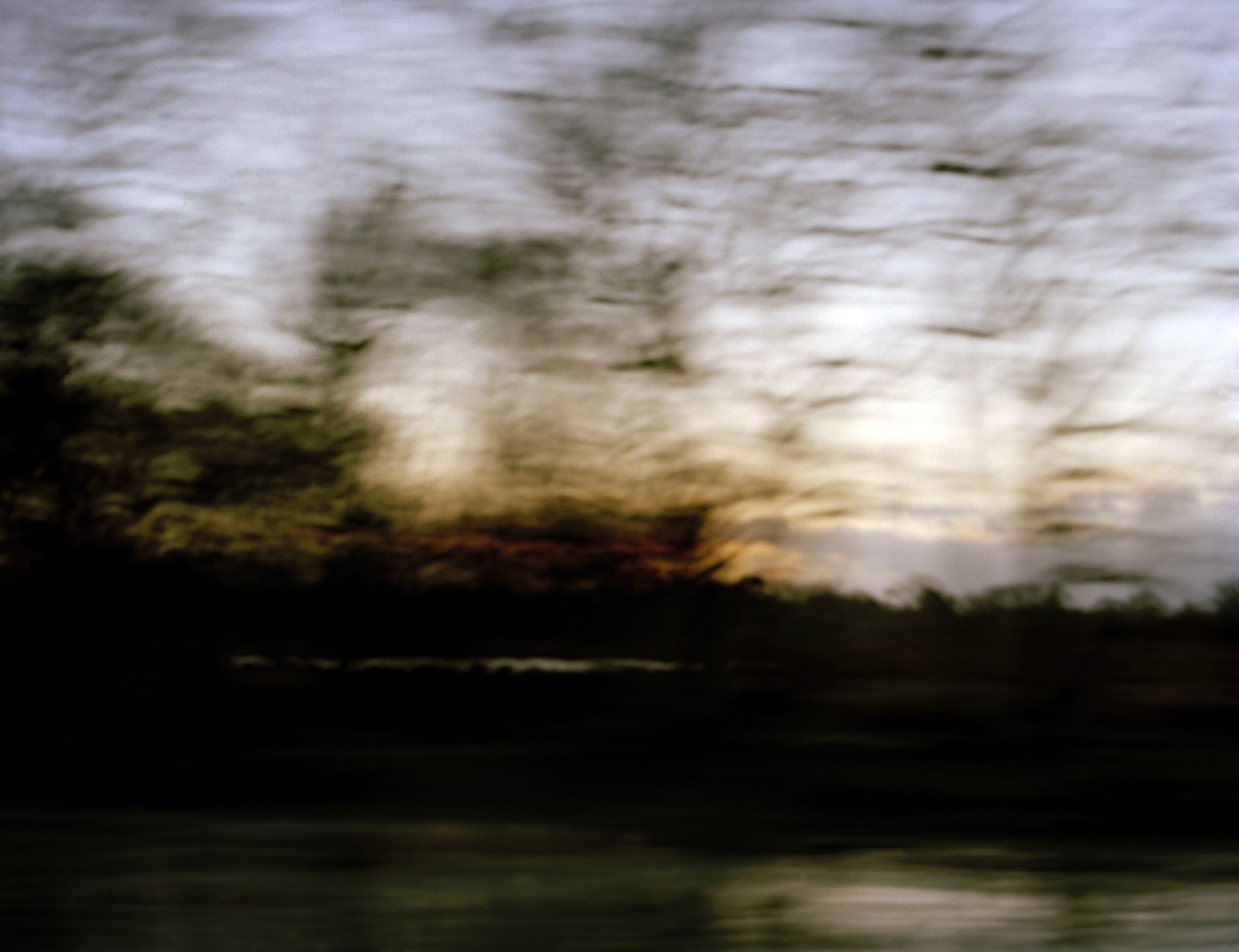 Picture showing image from Victoria Rich's final major project, Forest Features