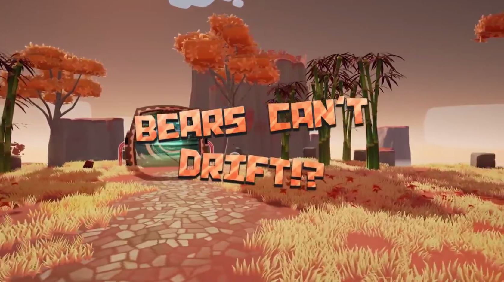 Computer game Bears can't drift