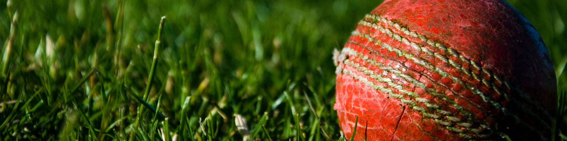 A battered cricket ball in the grass