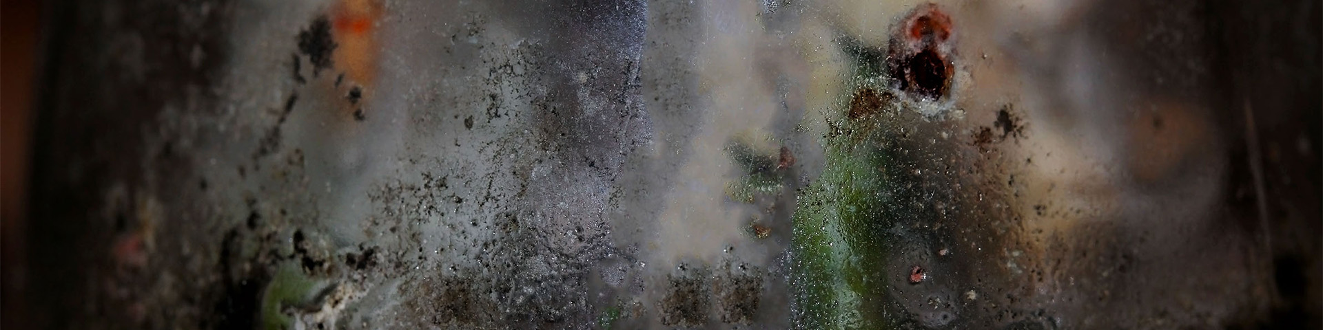Image shows final major project by Crystal Bloomfield