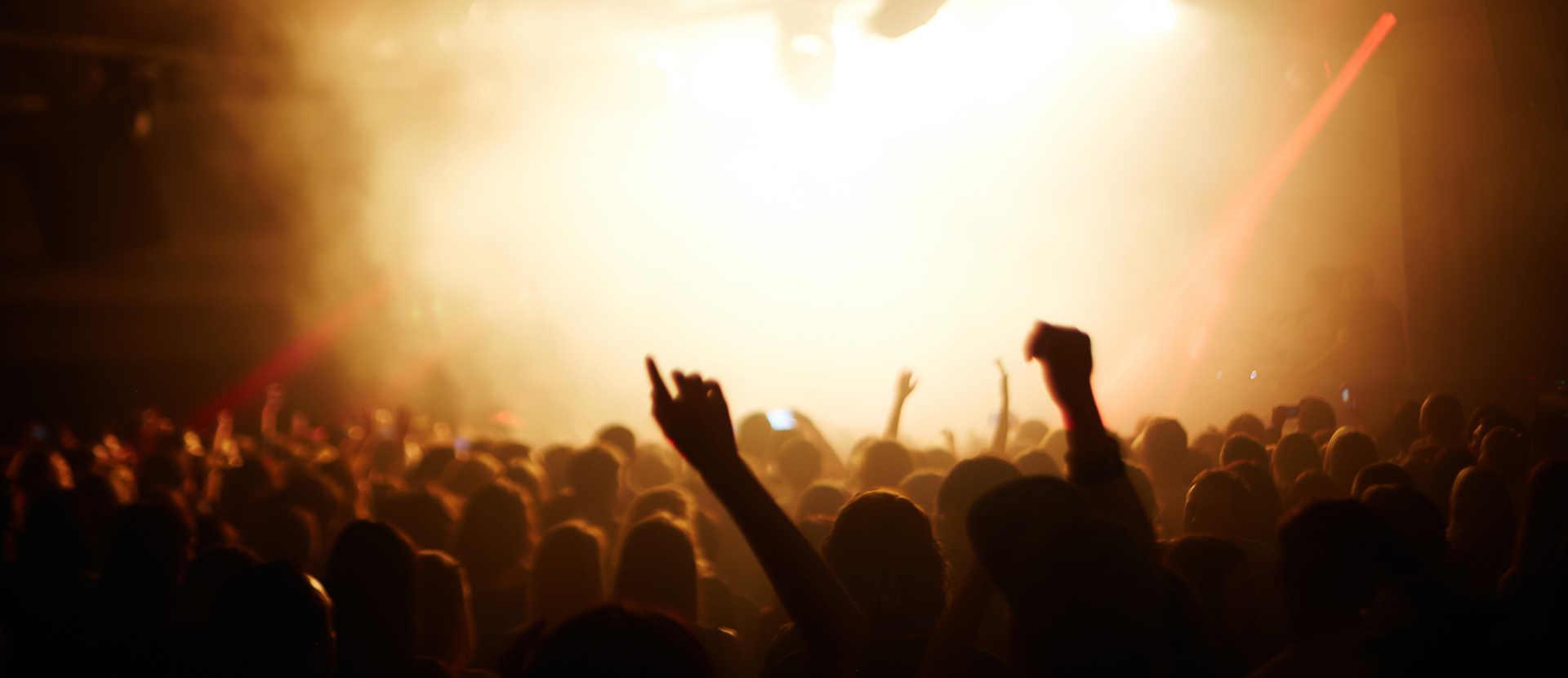 Image of large audience at music performance venue