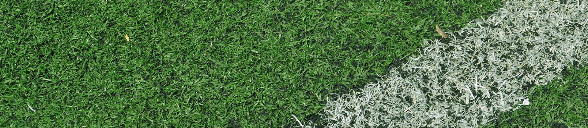 Image of a soccer field