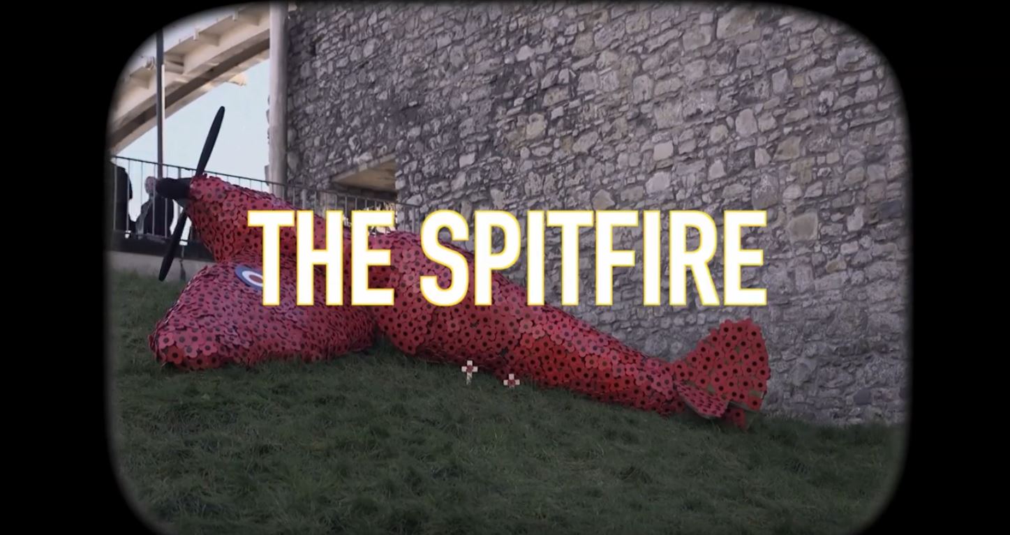 A spitfire made out of poppies