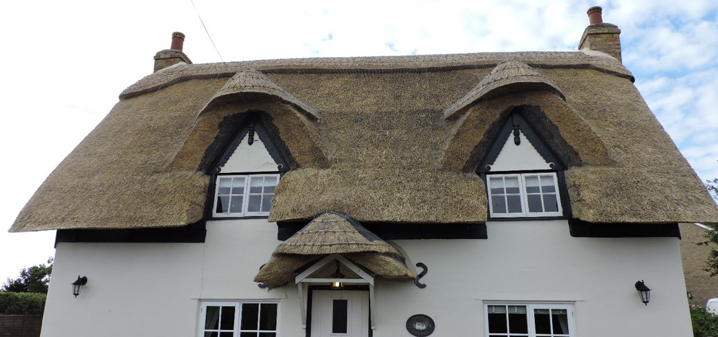 Picture shows thatched roof by Chris Dodson