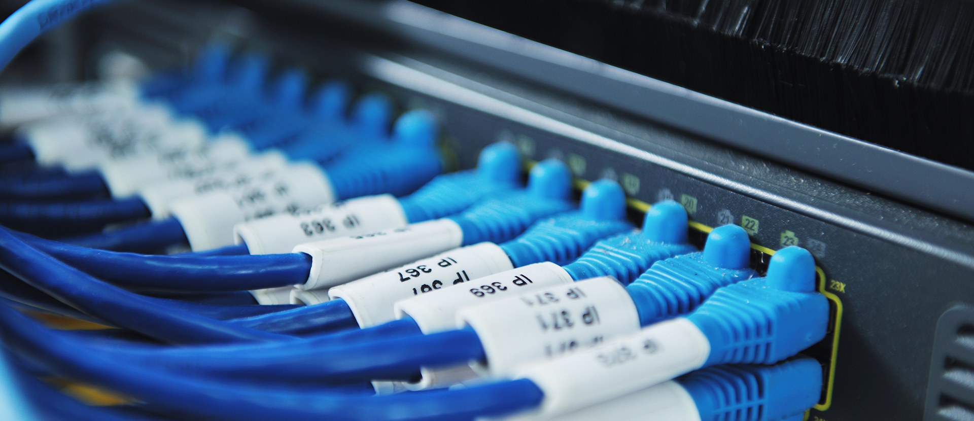 Lots of blue network cables plugged into a computer