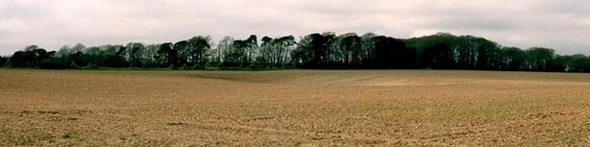 Welbourne garden Village site
