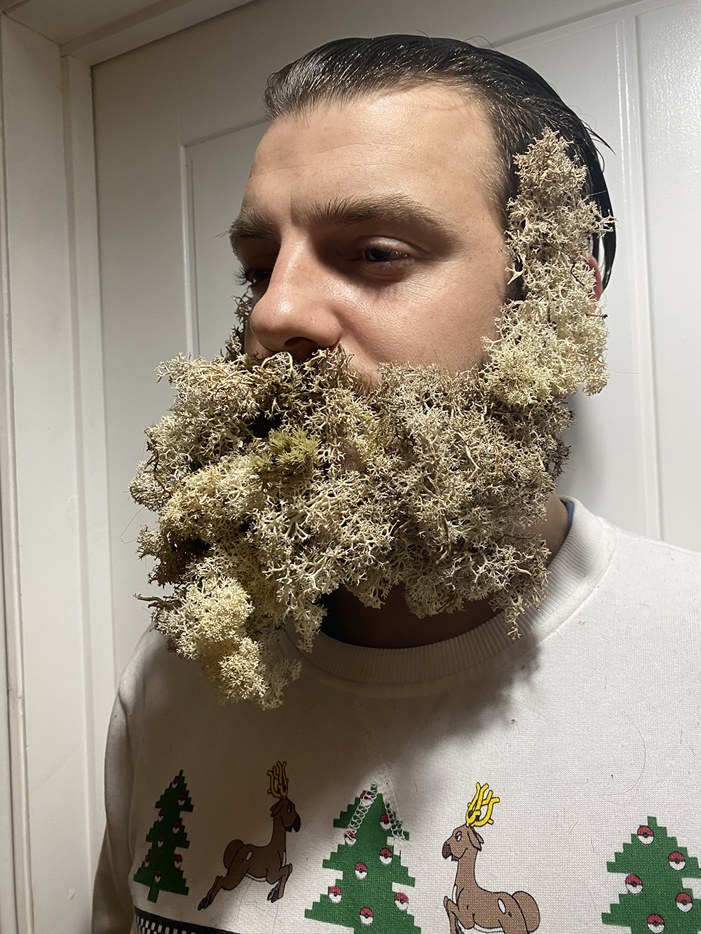Make-up look created by student Annistasia Chandler showing a man with a moss beard