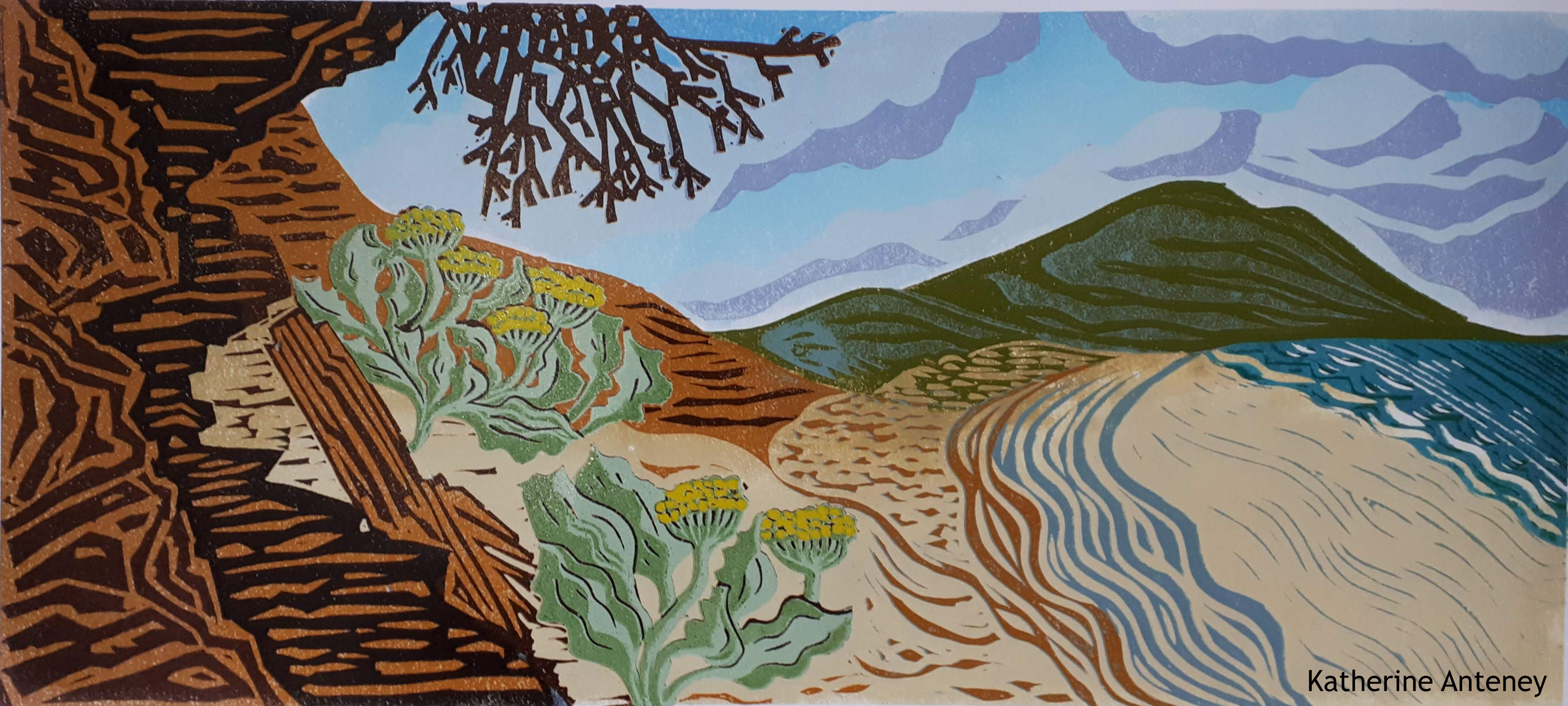 Picture of entry by Katherine Anteney
