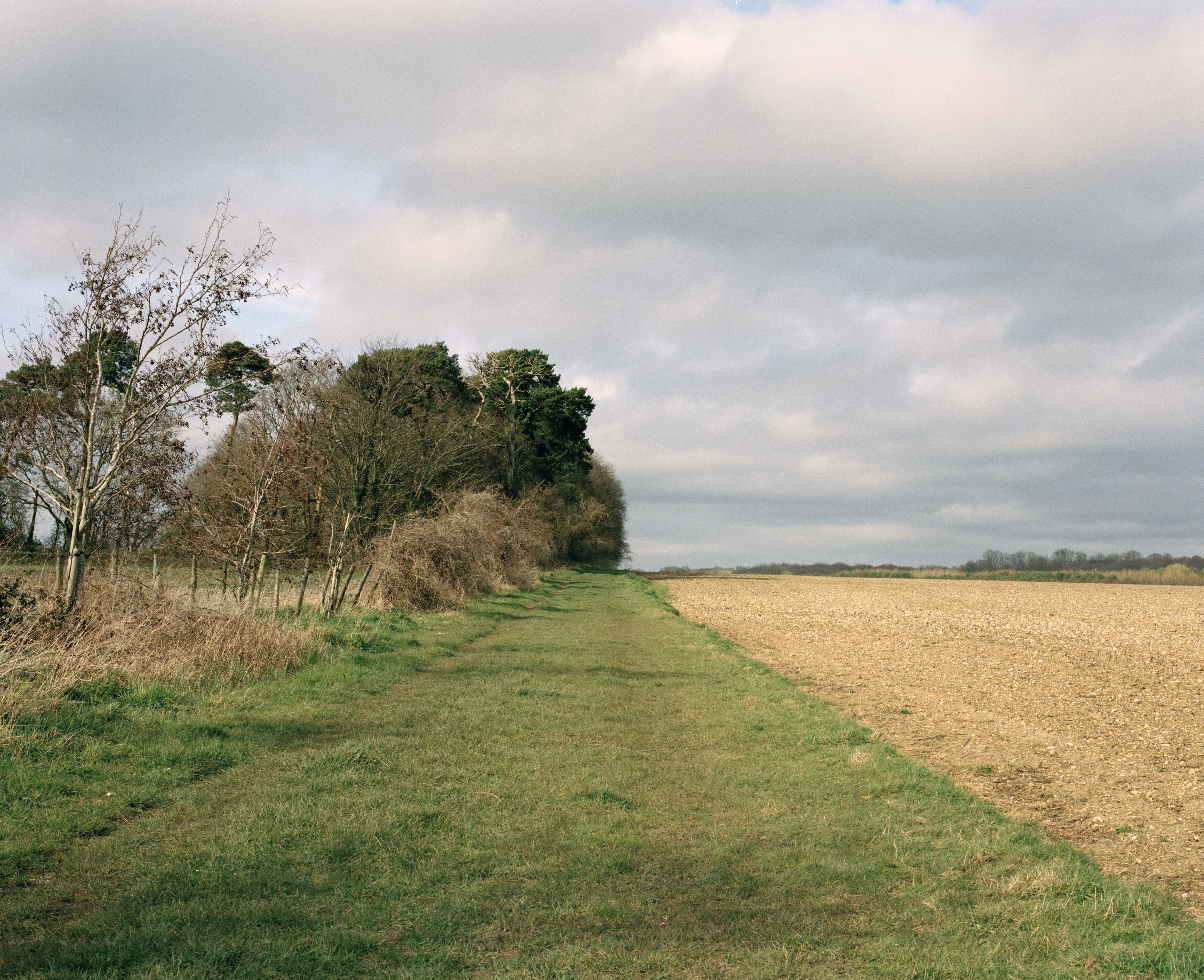 Shannon Ogle, 'Landscape as Real-Estate', Welbourne Garden Village, 2020