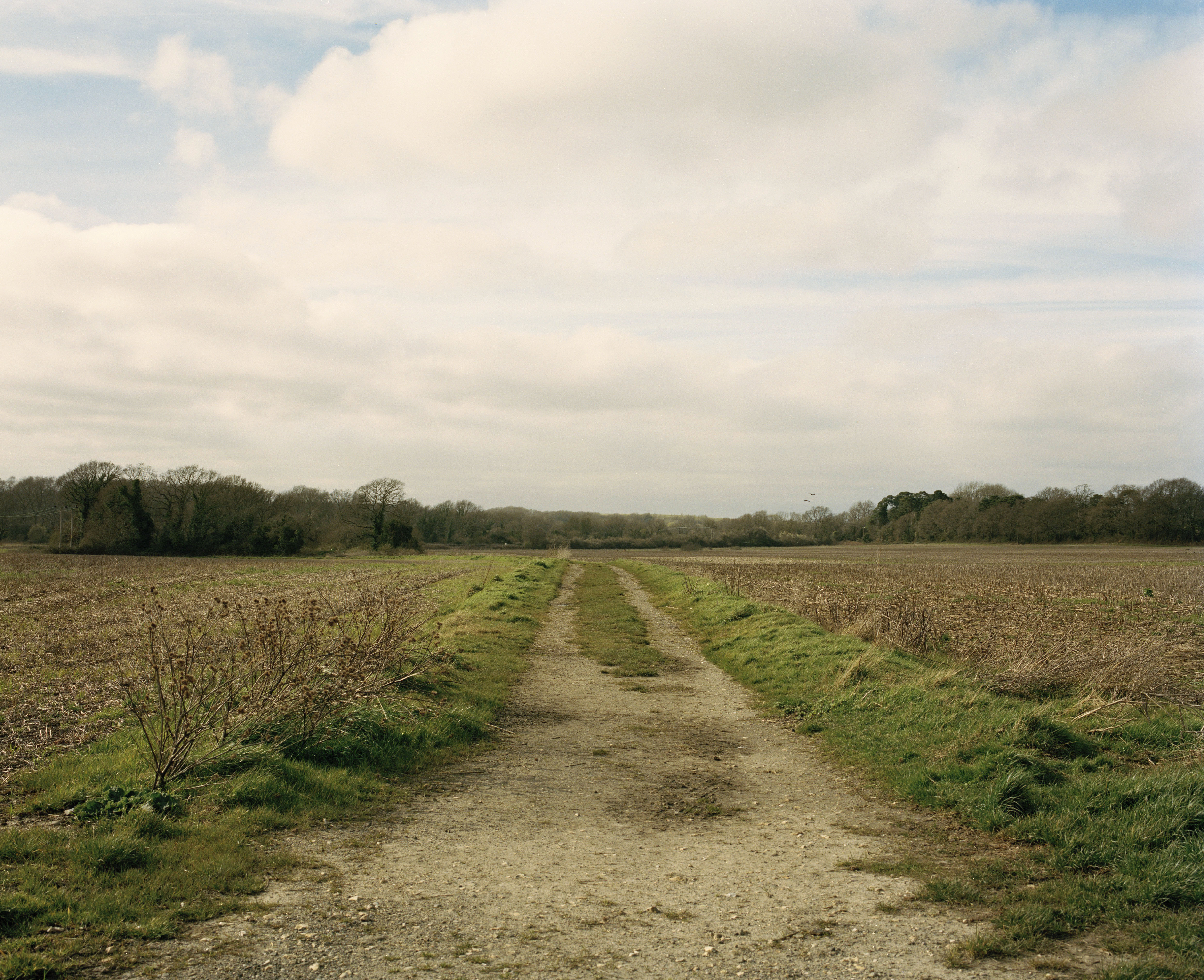 Shannon Ogle, 'Landscape as Real-Estate', Welbourne Garden Village, 2020