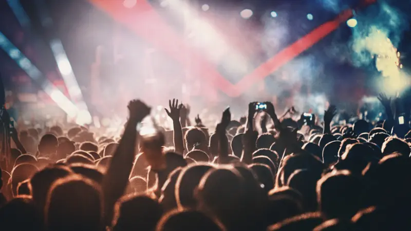 A concert crowd