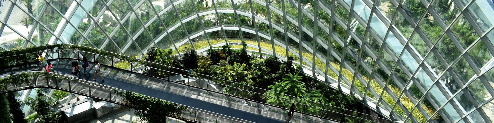 A view onto a glass bridge in a large glass building looking down onto some green trees.