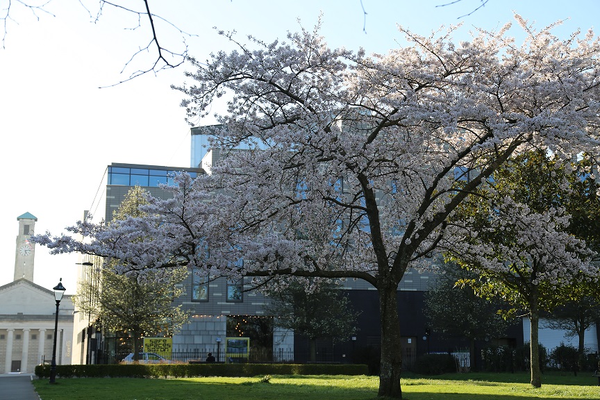 Image of East Park Terrace park in Southampton next to Solent University