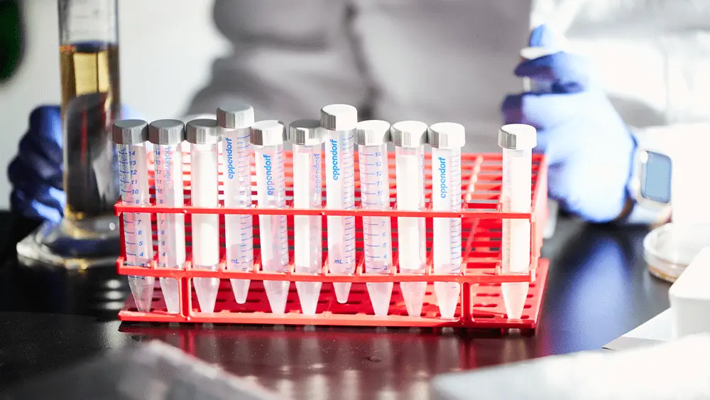Medical vials on a workspace in a biomedical science laboratory.