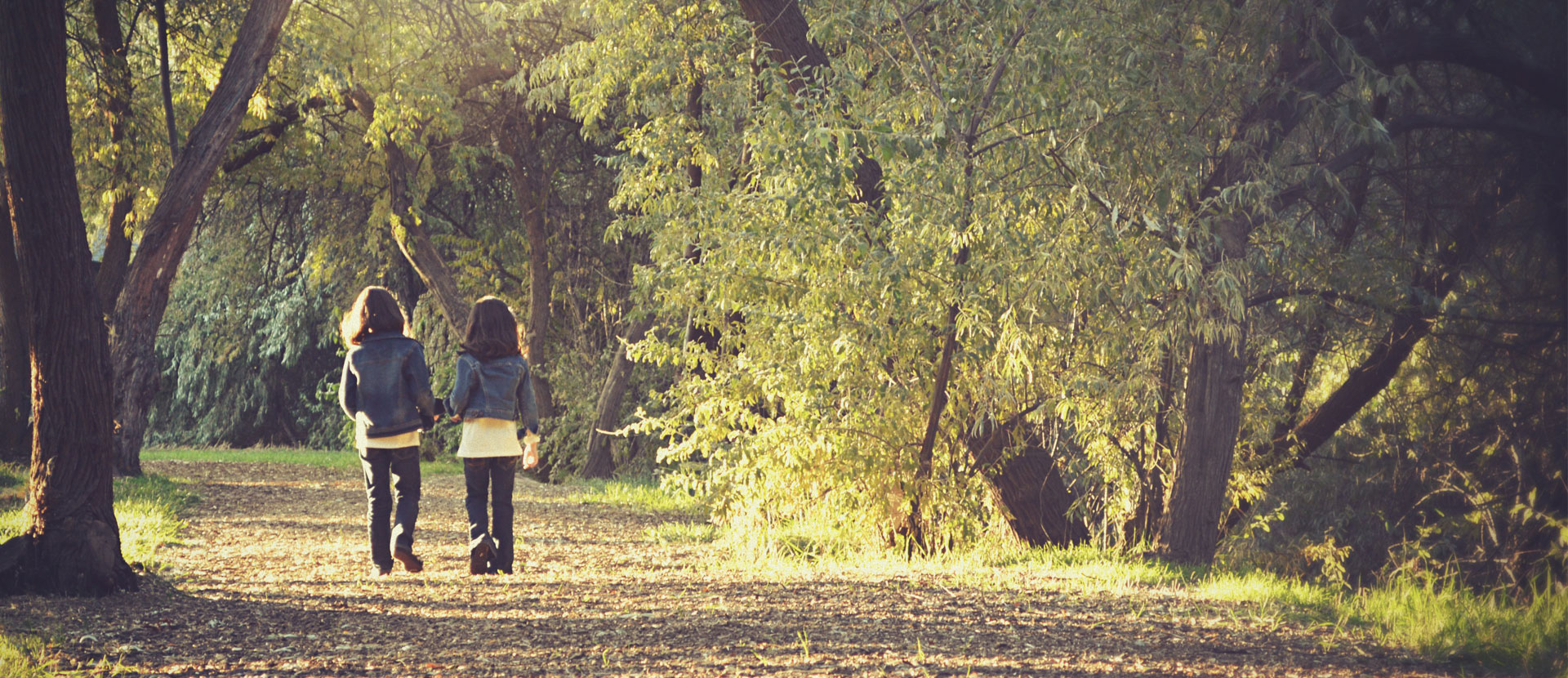 Children walking in a forest