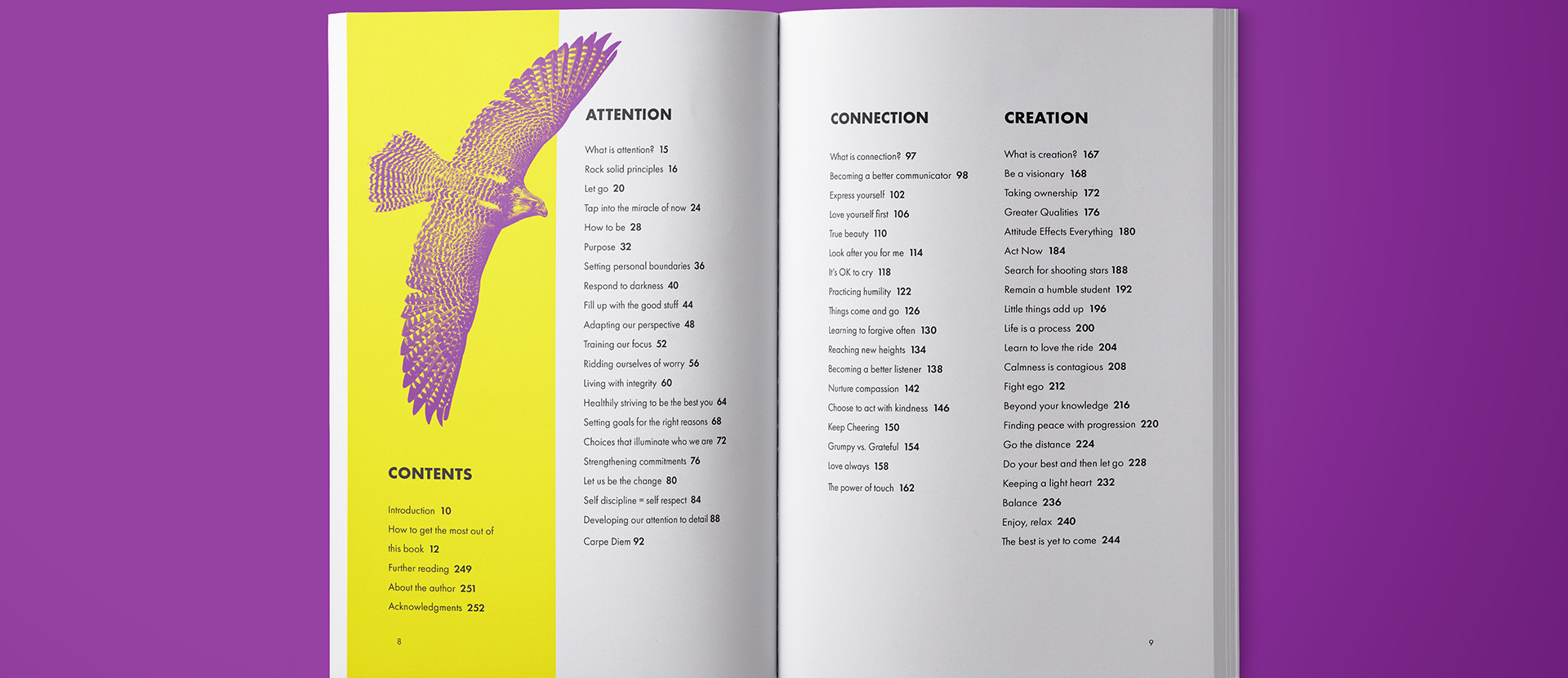 The degree show brochure