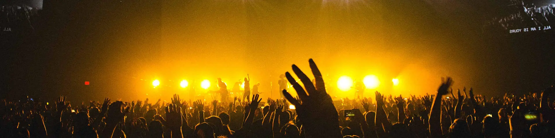 A crowd at a festival