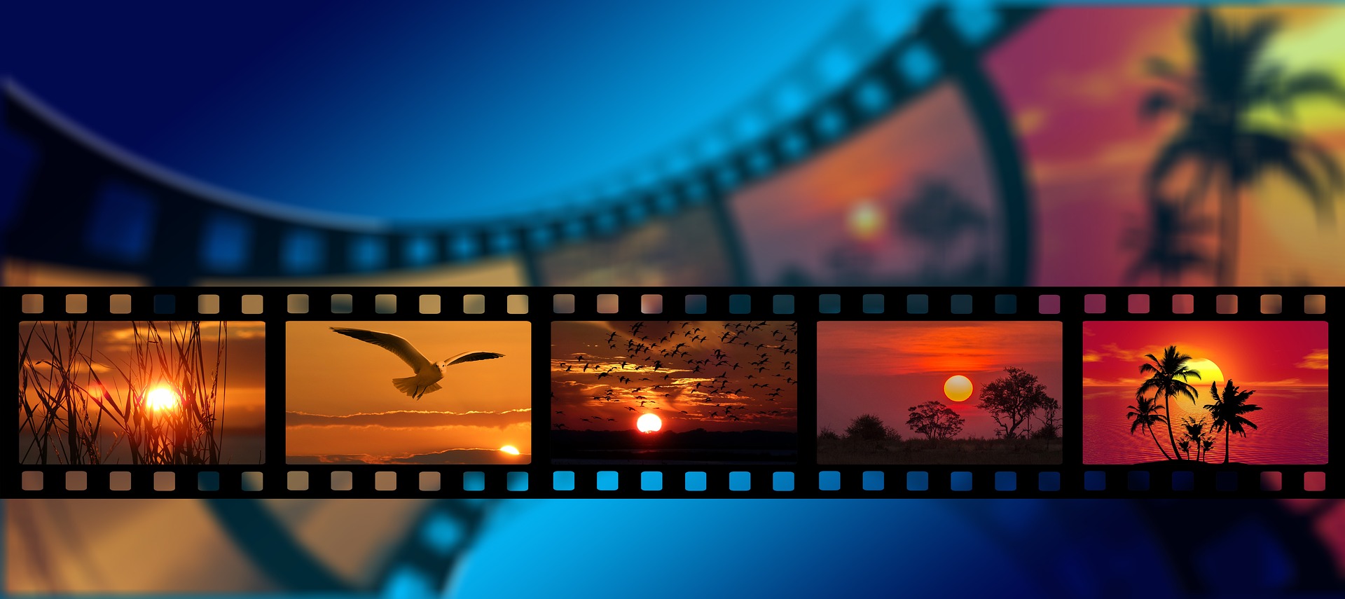 images on a roll of celluloid