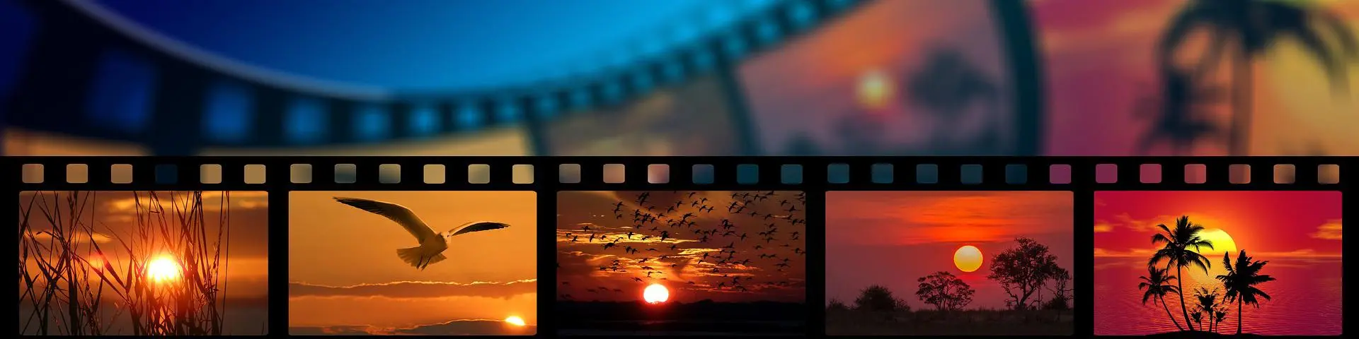 images on a roll of celluloid