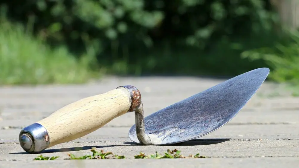 Archaeology trowel