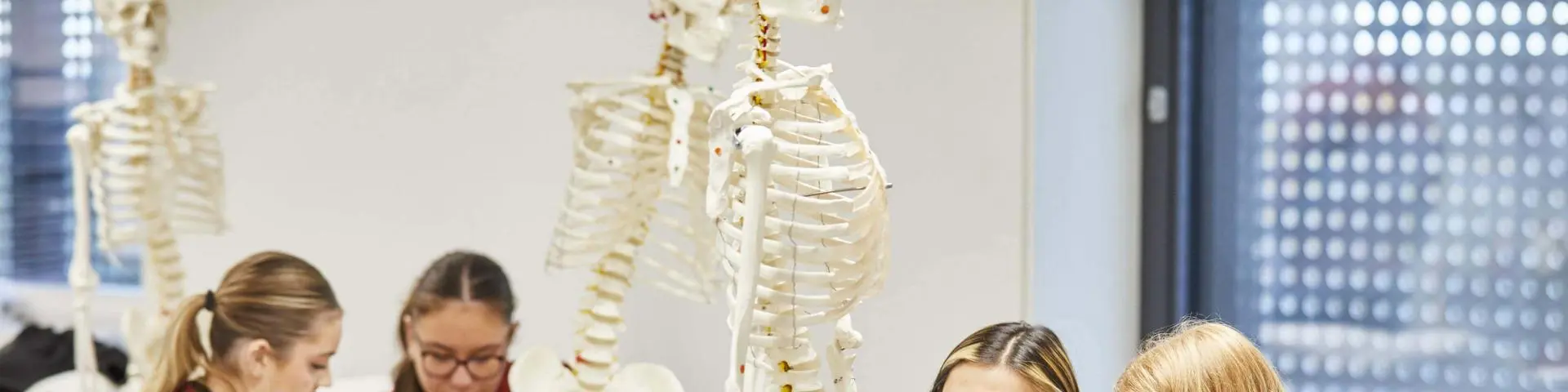 Sports & Exercise Therapy Students