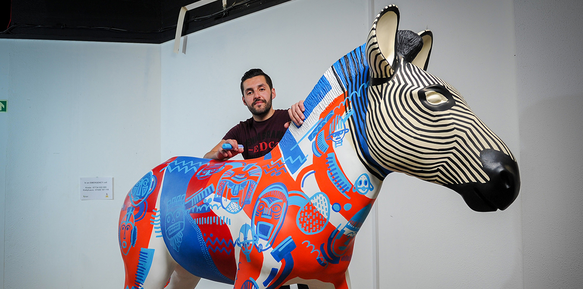 Solent Zebra