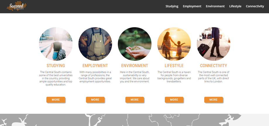 Screenshot of the Succeed in the South website