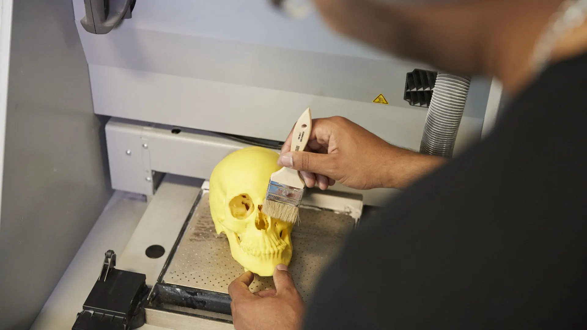 A student cleaning a 3d modelled skull