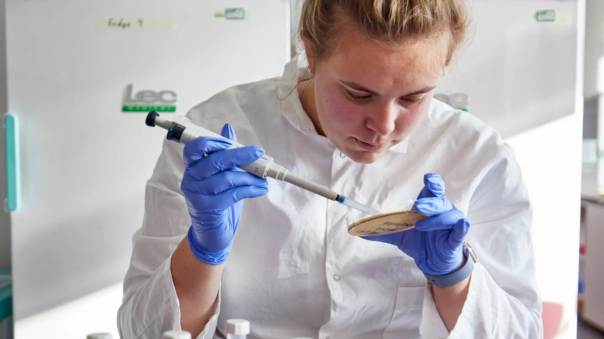 Student working in Biomedical Science lab