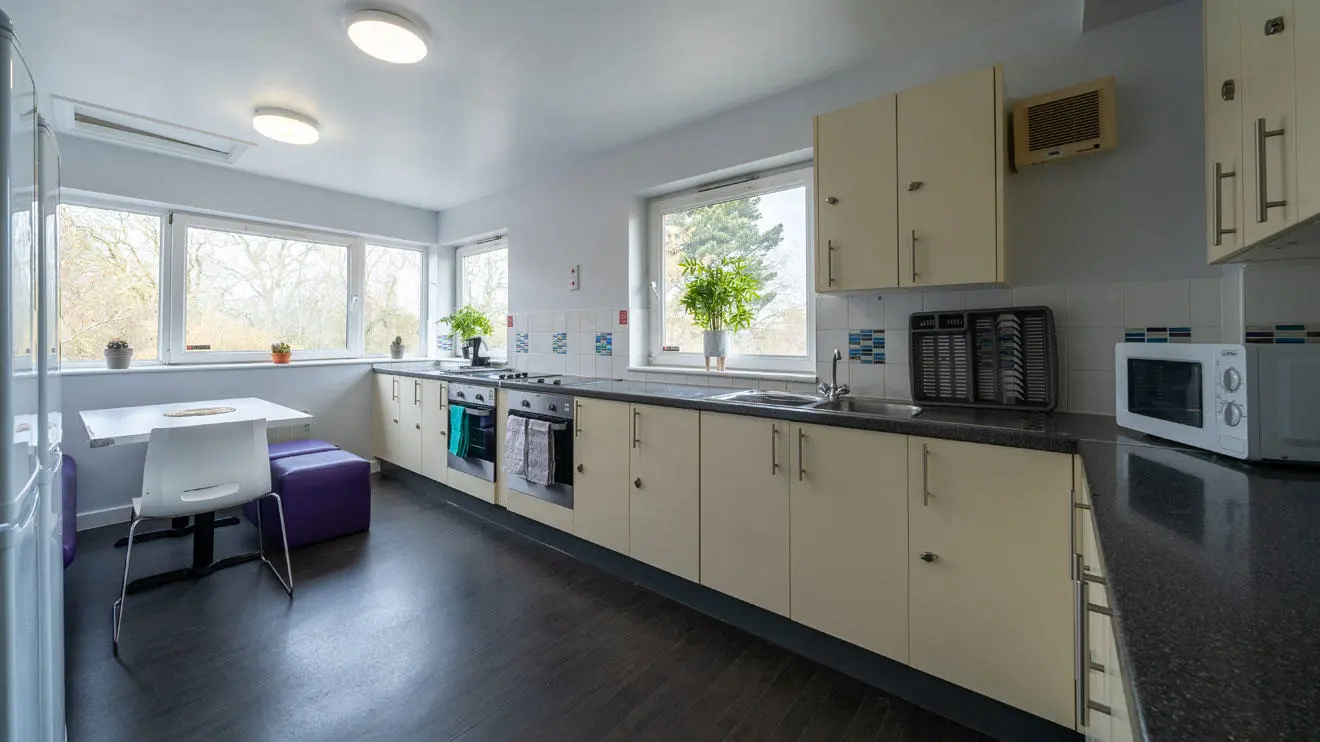 Shared kitchen in David Moxon residence