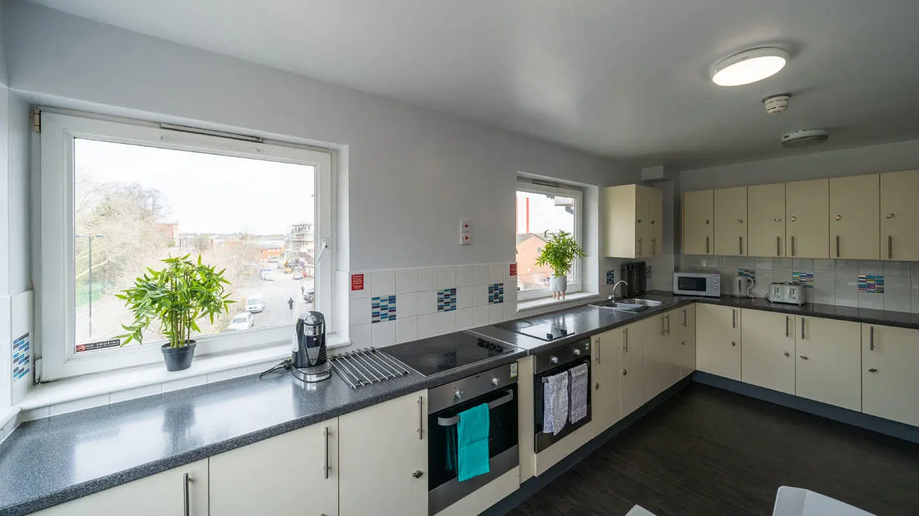 Shared kitchen in David Moxon residence