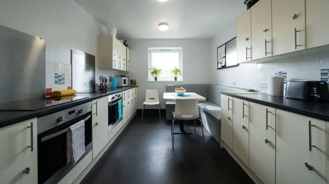 Shared kitchen in Kimber residence