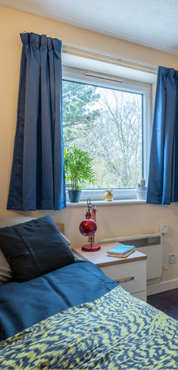 Four female students in the social room in Kimber