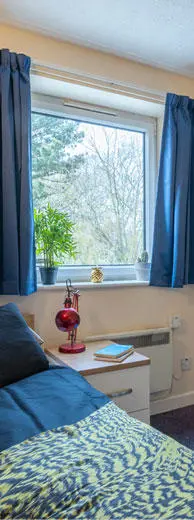 Four female students in the social room in Kimber