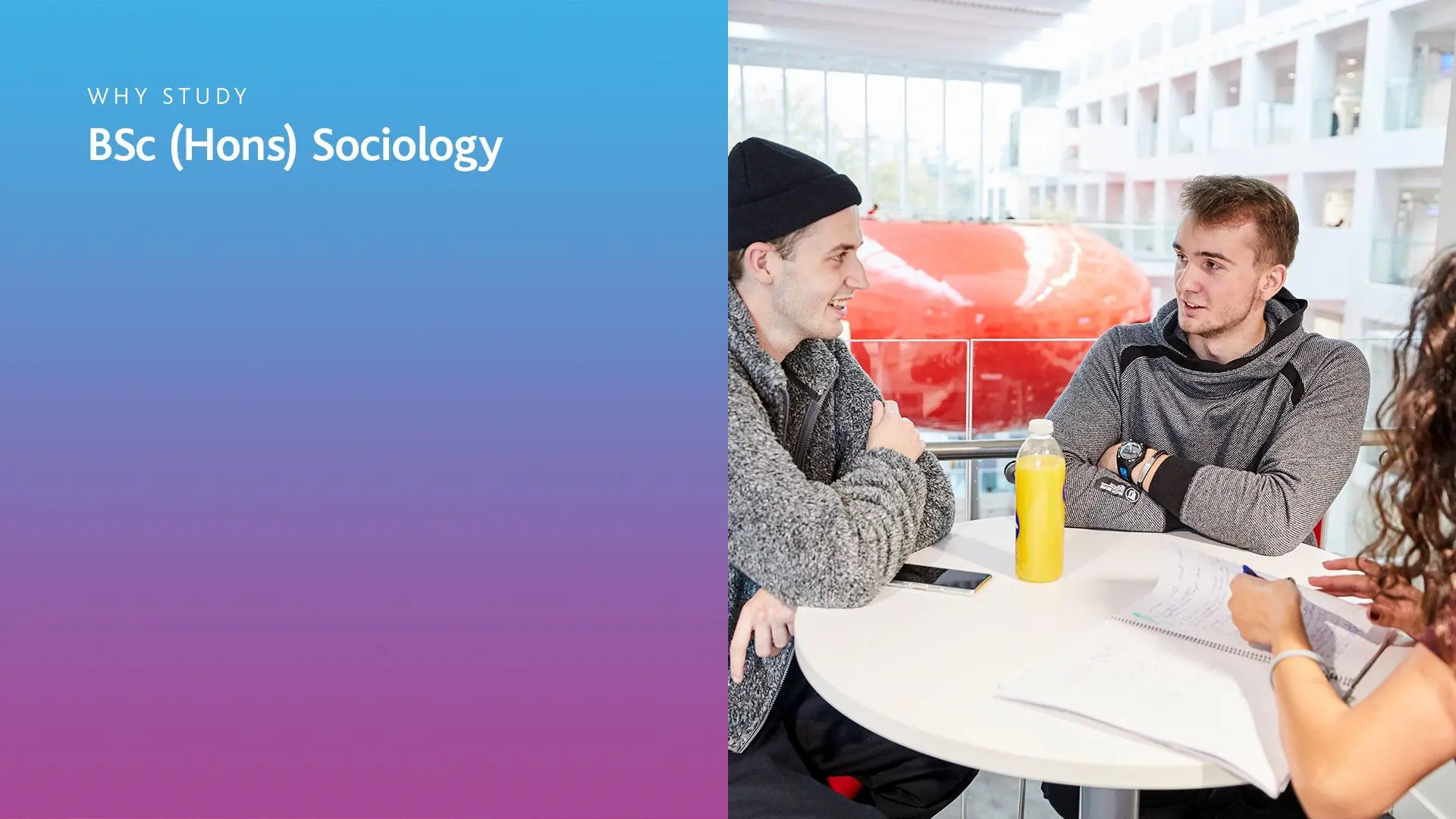 Image of students sitting at a table in a group talking, with text on the side that says; 'Why study BSc (Hons) Sociology'. 