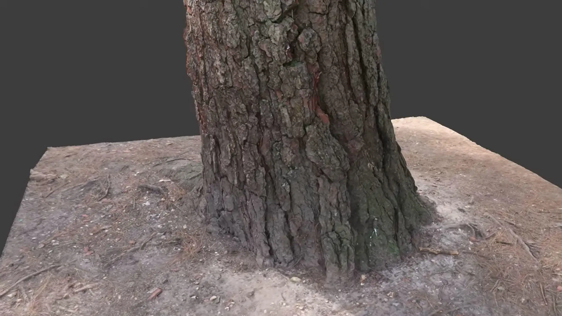 Screenshot of Ziyi Yang's work showing a computer-generated tree trunk in close-up