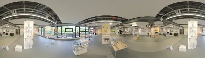 Virtual tour image showing exhibits from the graphic design and illustration degree show