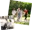 Postgraduate students walking through the park