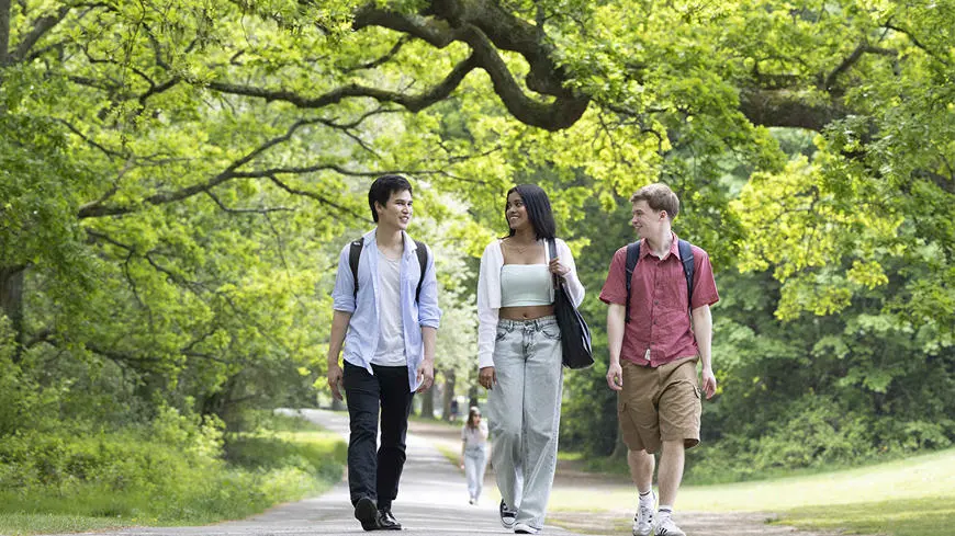 Students walking in the park