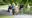 A group of students walking through the park and talking to each other