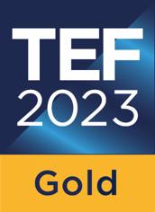TEF 2023 gold award