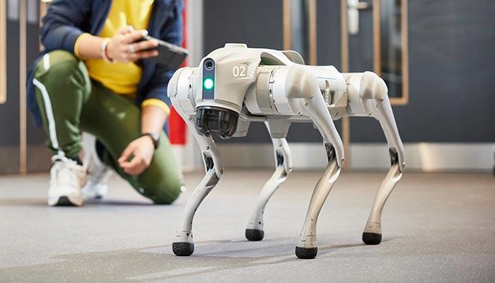 'Dogless' the robot dog