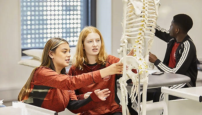 Sport therapy students looking at a model skeleton