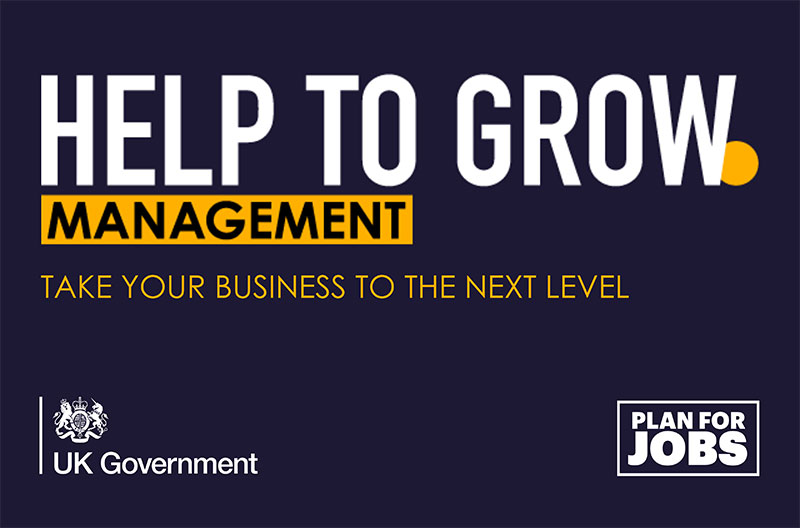 Help to Grow: Management promo