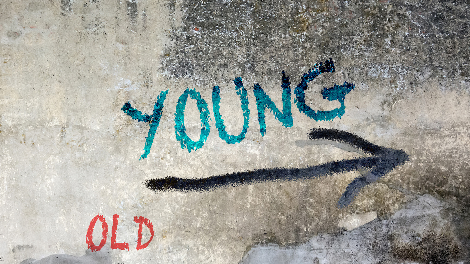 Image shows brick wall and reads 'young, old' 