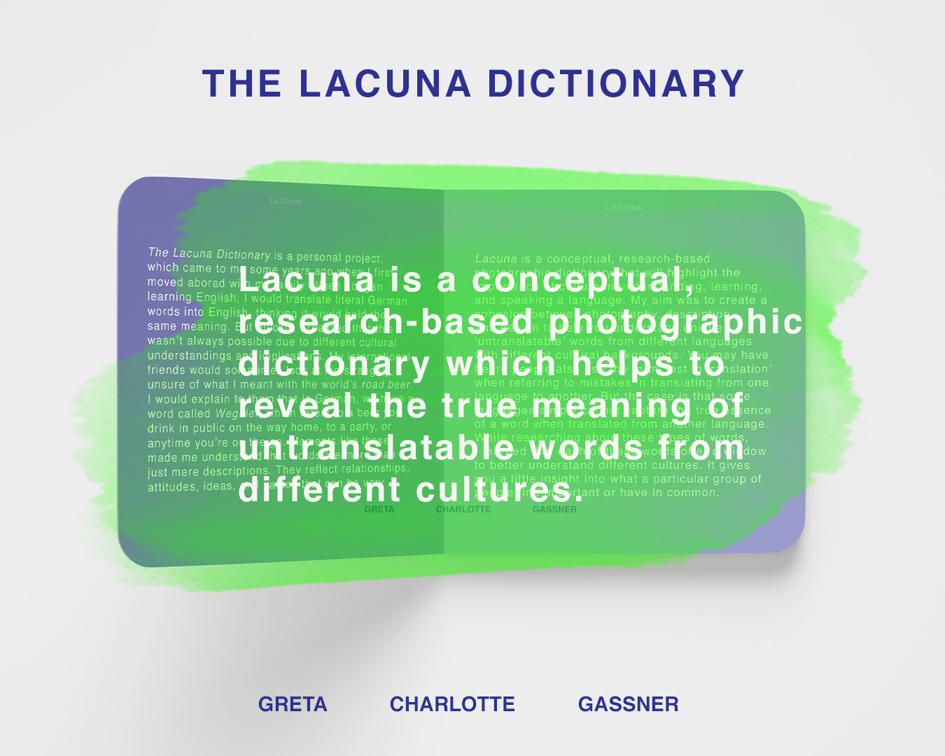 Image reads 'The Lacuna Dictionary' Lucuna is a conceptual research-based photographic dictionary 