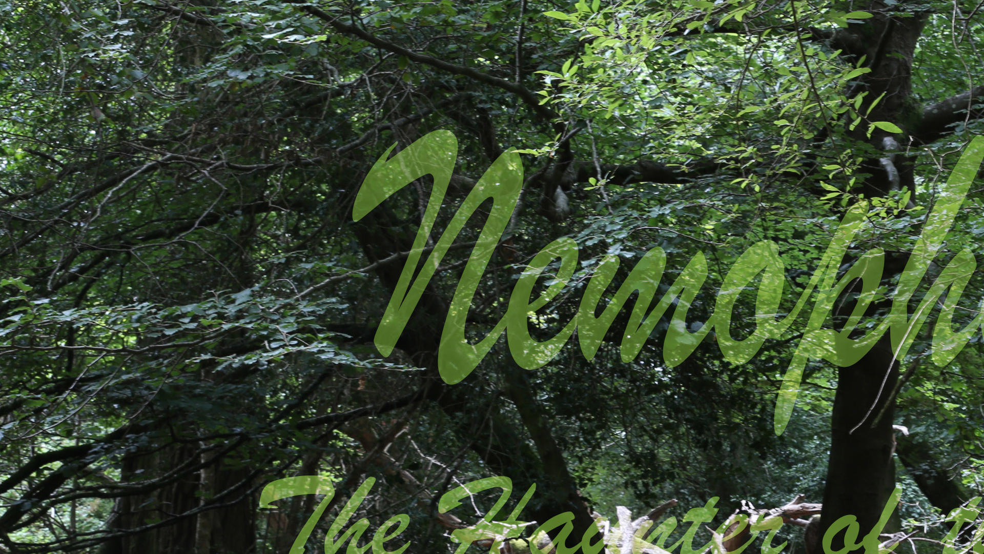 Nemophilist
