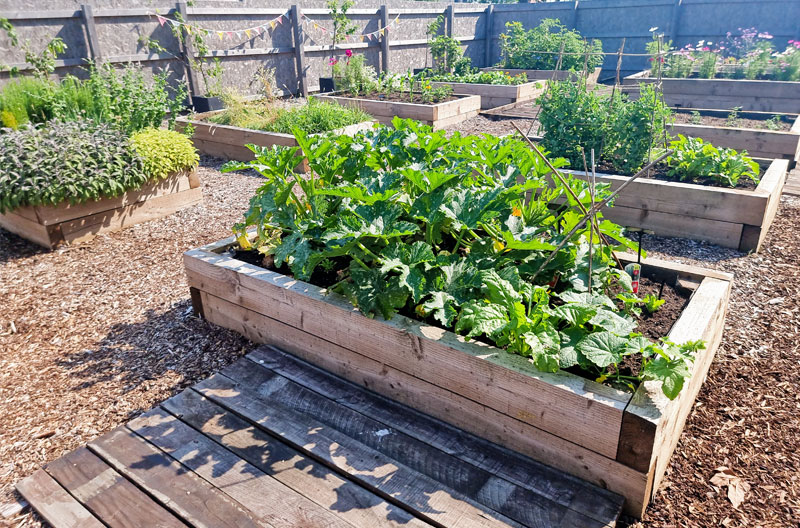 A person digging in a raised vegetable bed